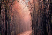 国安小将郭嘉璇去世，年仅18岁.