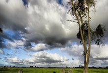 国安小将郭嘉璇去世，年仅18岁.