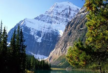 bet365：[澳网]郑钦文止步澳网女单第二轮.