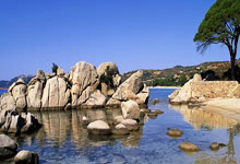 bet365：全国春季游泳锦标赛报捷：王长浩男子50米蝶泳摘金.